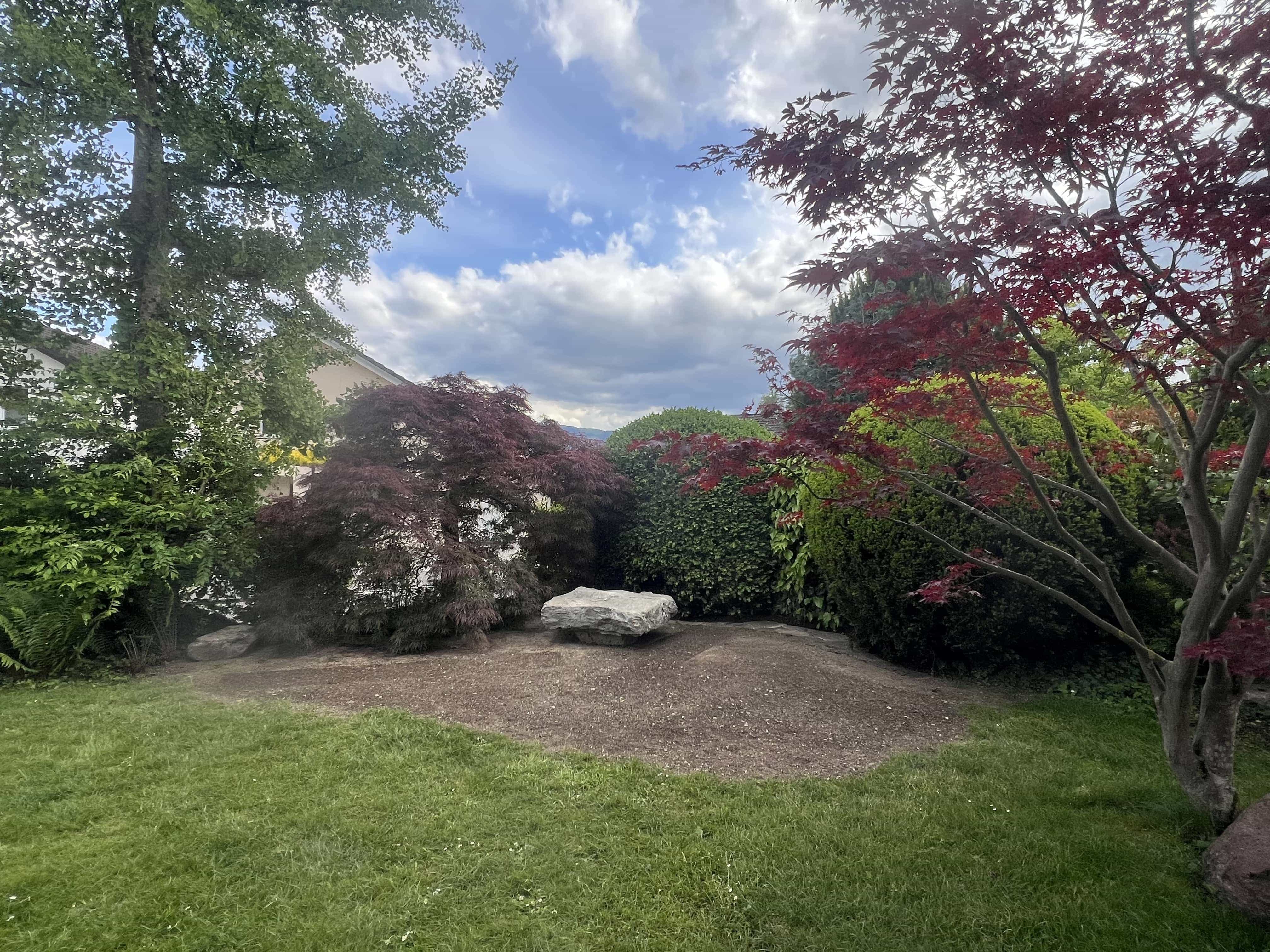 IMG 0745